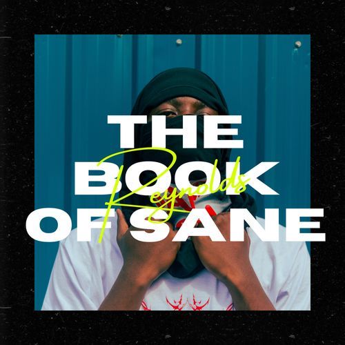 THE BOOK OF SANE_poster_image