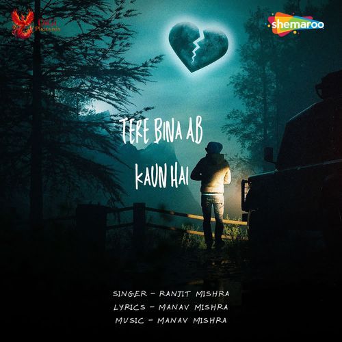 Tere Bina Ab Kaun Hai