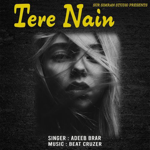 Tere Nain