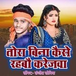 Tora bina kaise rahabau karejwa