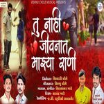 Tu Nahi Jivanat Mazya Rani