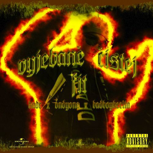 Vyj*bane Cistej Fit cover art