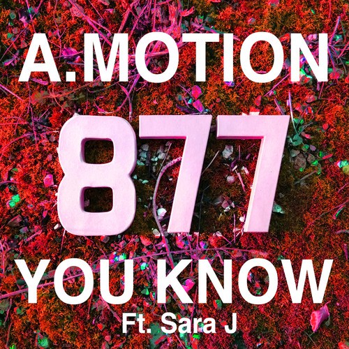 You Know (feat. Sara J)
