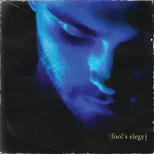 fool&#039;s elegy_poster_image