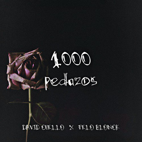 1000 pedazos