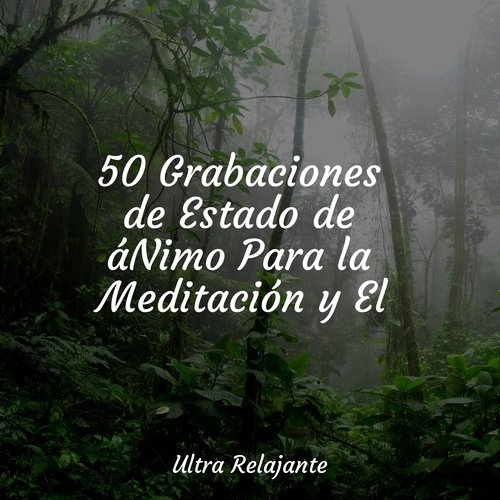 Música Para Masaje cover art