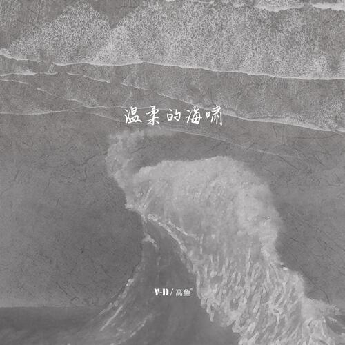 温柔的海啸_poster_image