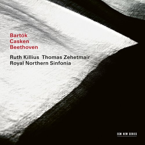 Beethoven: Symphony No. 5 in C Minor, Op. 67: II. Andante con moto_poster_image