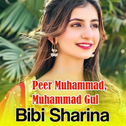 Bibi Sherenay Zeyaray gullay