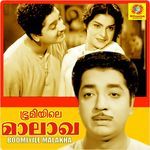 Aakaasathambalamuttathu