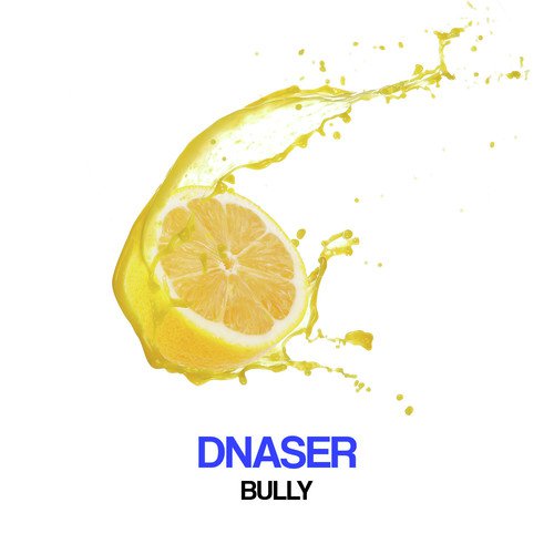 Bully (J's Music Remix) cover art