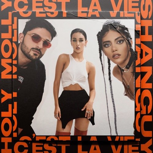 C&#039;est la Vie (NRD1 Remix)_poster_image