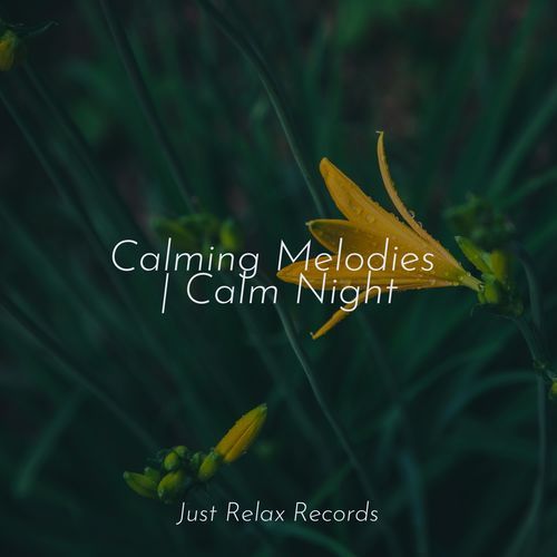 Calming Melodies | Calm Night