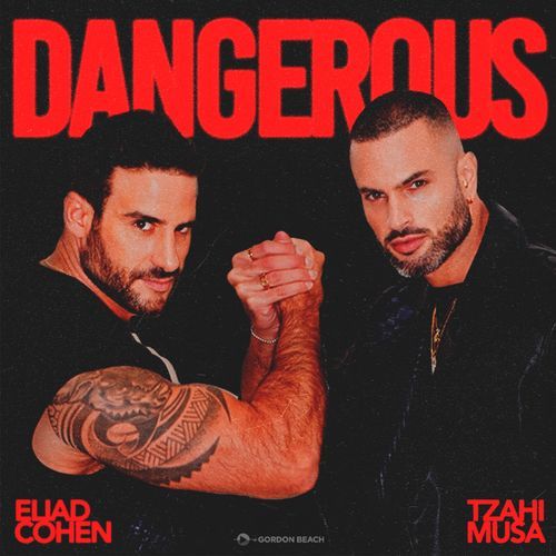 Dangerous (Radio Edit)_poster_image