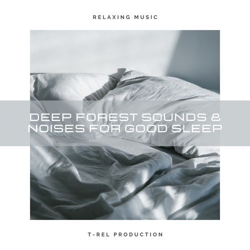 Dream Forest Noise For Sleep