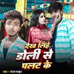 Dekh Lihe Doli Se Palat Ke