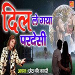 Dil Le Gaya Pardesi_poster_image