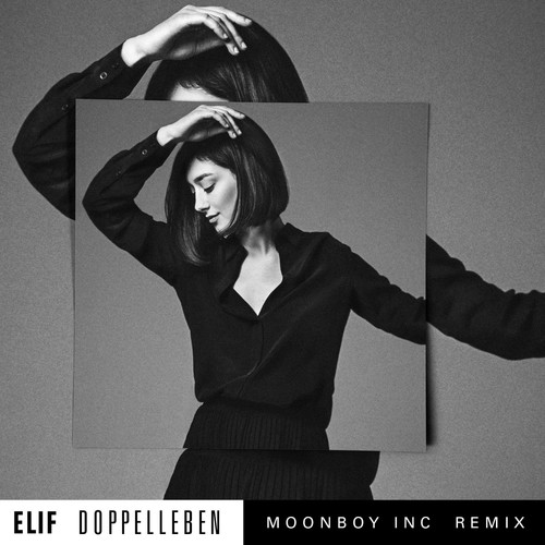 Doppelleben (Moonboy Inc. Remix) cover art