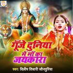 Gunje Duniya Me Maa Ka Jaykara