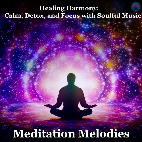 Healing Harmony: Calm, Detox, and Focus with Soulful Music