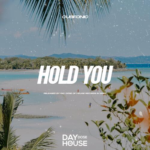 Hold You_poster_image