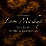 Love Mashup(Tu Jaane Na x Te Amo x Tum Se Hi)