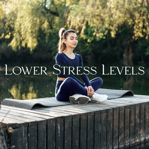 Mindfulness Meditation cover art