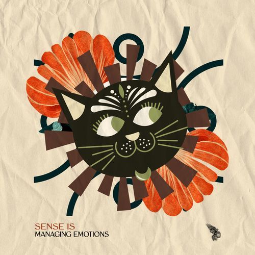 Managing Emotions cover art