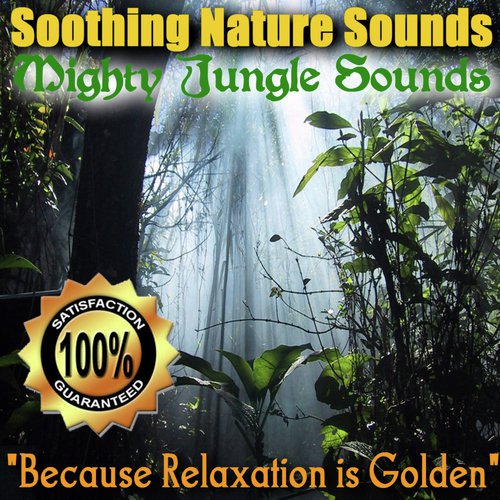 Soothing Nature Sounds