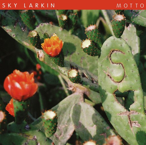 Italics cover art