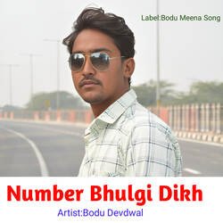 Number Bhulgi Dikh-KB0AVQ1eT2A