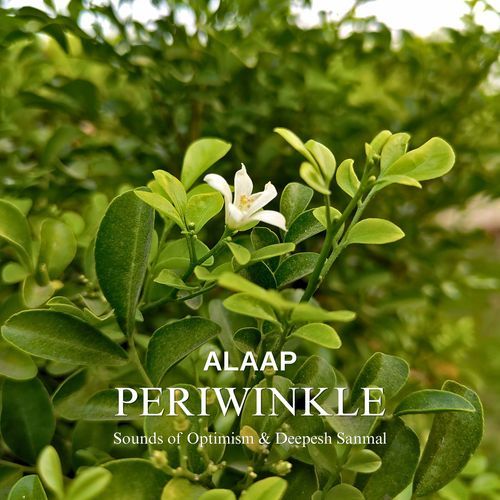 Periwinkle Alaap