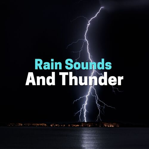 Kings cover art