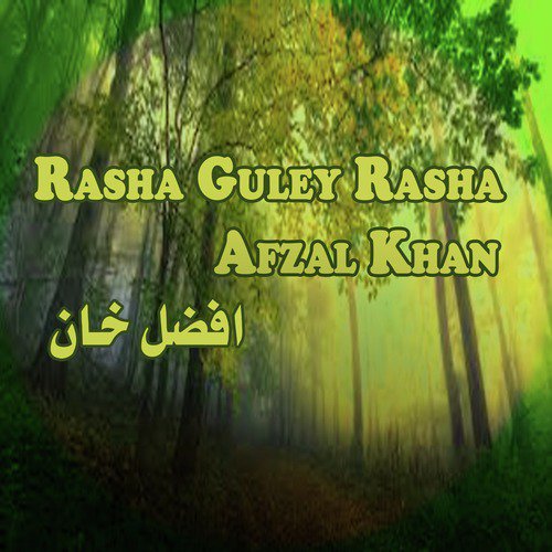 Rasha Guley Rasha, Vol. 1