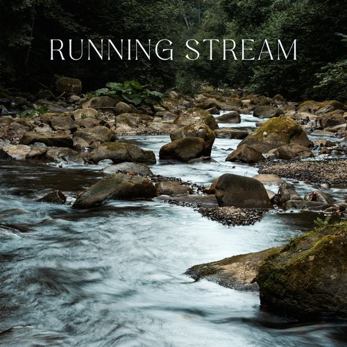 Nature Sounds cover art