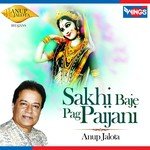 Sakhi Baje Pag Paijani movie poster