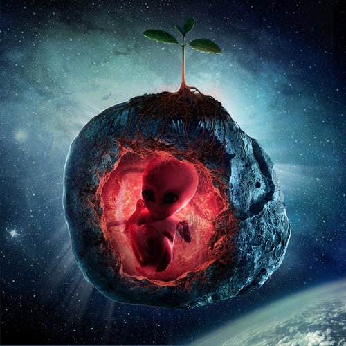 Seeds Bomb_poster_image