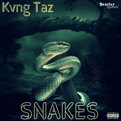 Snakes cover art