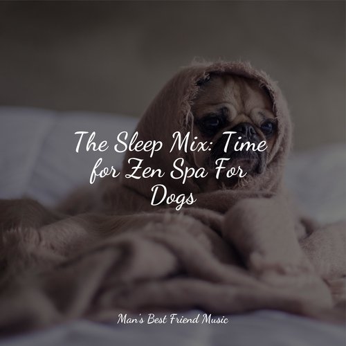 The Sleep Mix: Time for Zen Spa For Dogs_poster_image