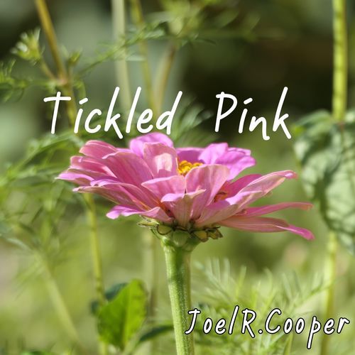Tickled Pink