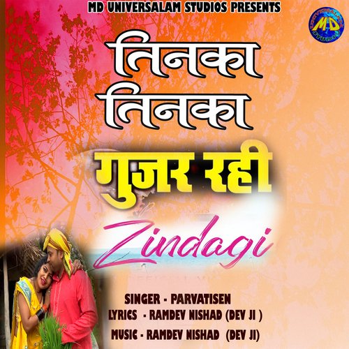 Tinka Tinka Guzar Rahi Hai zindagi (Hindi)