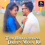 Tor Bhalobasai Darun Moja Re