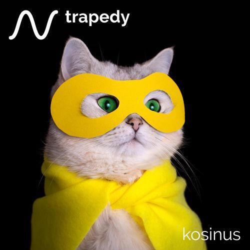 Royal Trapedy cover art