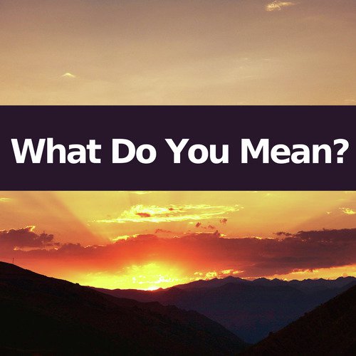 What Do You Mean? (Instrumental Versions)_poster_image