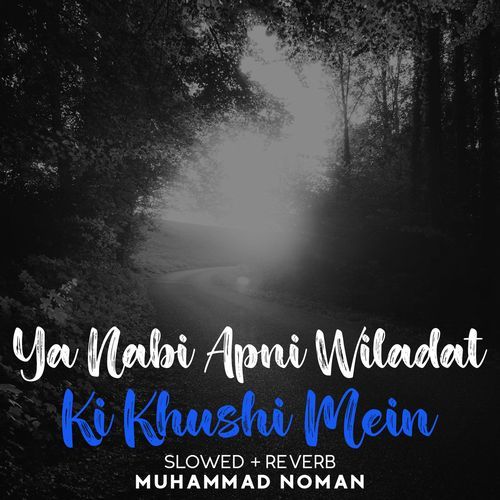 Ya Nabi Apni Wiladat Ki Khushi Mein Lofi