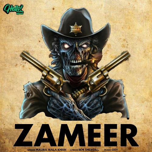Zameer cover art