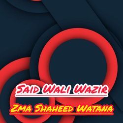 Zma Shaheed Watana-FzIZSB5cY1k