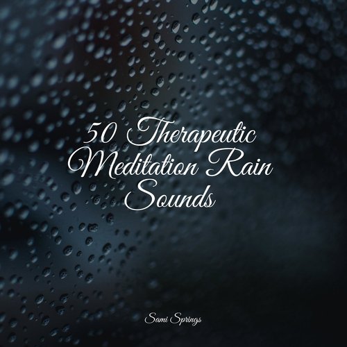 50 Therapeutic Meditation Rain Sounds_poster_image