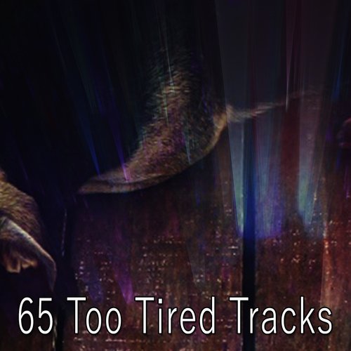 65 Too Tired Tracks