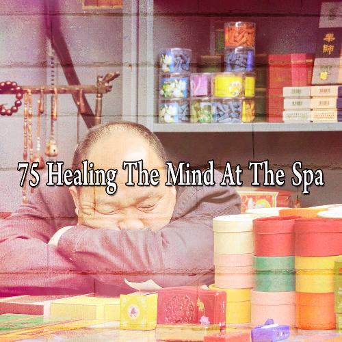 75 Healing the Mind at the Spa